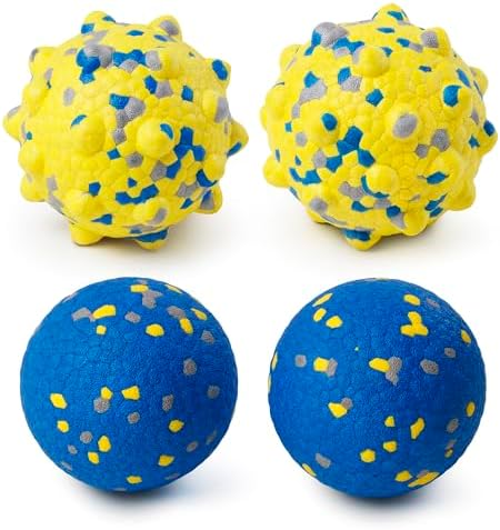 Moonorange Dog Tennis Balls for Aggressive Chewers, Indestructible Durable Bouncy Interactive Toy for Dogs Fetch Game Lightweight Floating Outdoor Training(2 Yellow Point+ 2 Blue Cirle Medium)
