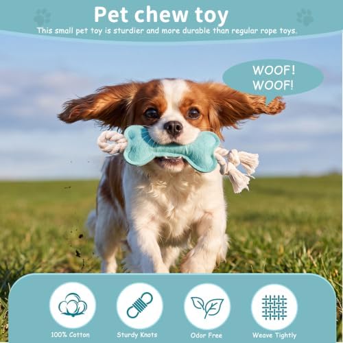 Dog Rope Knot Toy for Small Dogs and Cats Rope Toy for Puppy Chew Toys Cotton Interactive Pull Dog Toys for Dogs and Cats (Blue)