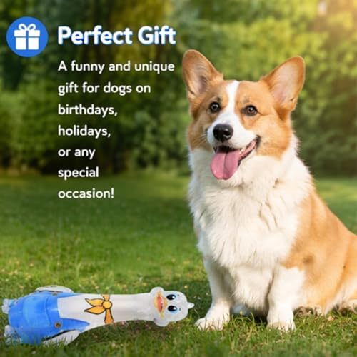 Molaxpet Funny Squeaky Dog Toy Cute Costumed Duck Design Chew Toys for Pet