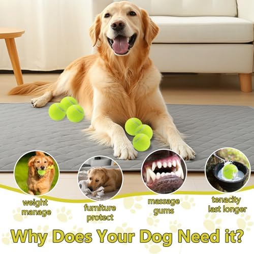 Swingers Squeaky Tennis Balls for Dog, 2.5 Inch Training Tennis Balls
