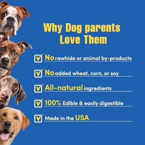N-Bone Quado Edible Interactive Dog Chew, Peanut Buttter Flavor, Easy Grip Design, Organic Dog Chew Good for Maintain Oral Health, Organic Dog Treat