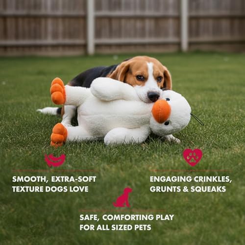 PetLou Colossal Durable Squeak Dog Toys -Durable Fabric -Tough and Reliable for Aggressive Chewers (00352)