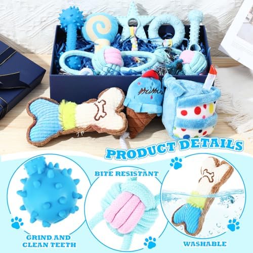 RoundFunny 11 Pcs Dog Birthday Toy Gift for Dog Birthday Cake Puppy Girl Boy Squeak Toys Interactive Puppy Gift with Box for Small Medium Size(Classic,Blue)