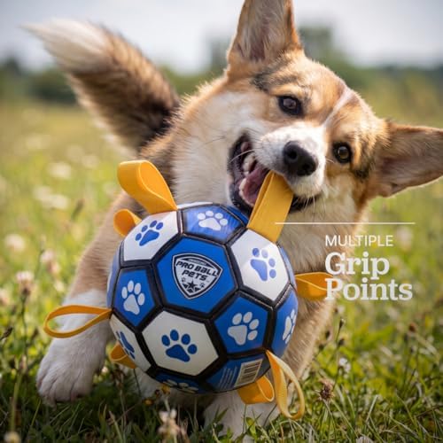 Maccabi Interactive Dog Soccer Ball for Dogs, 6” with Straps & Grab Tabs, Floats on Water, Fetch & Training Toy for Small/Medium Dogs, Herding Breeds, Waterproof Non-Toxic – ProBall Pets – Blue White