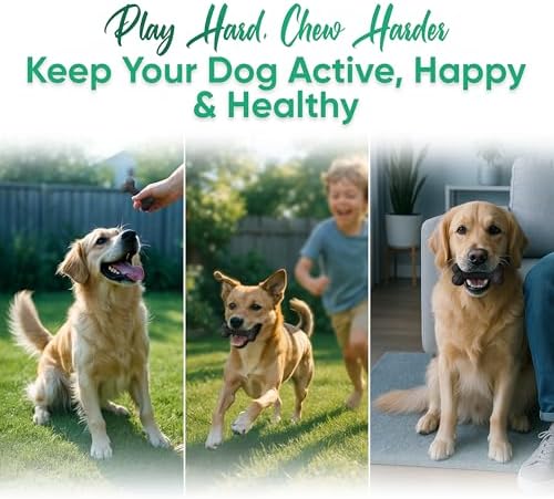 Natural Rubber Dog Toys for Small Dogs & Puppies - Durable Dental Dog Bone Toy for Indoor & Outdoor Play - Interactive Tough Teething Toy for Boredom Relief - For 25 lbs Small Dogs (Black)