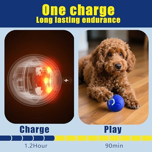 BIONEMAGILI Interactive Self-Moving Pet Toy Ball - Motion-Activated Auto Rolling, Military-Grade Chew Resistant, USB-C Rechargeable for Small Dogs & Cats (Blue,/S/New4)