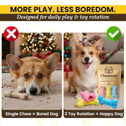 Chewzzle™ Durable TPR Dog Chew Toys | Safe Non-Toxic Toys for Small Breed Dogs (5-25 lbs) | Gentle to Light Chewers | SGS Tested