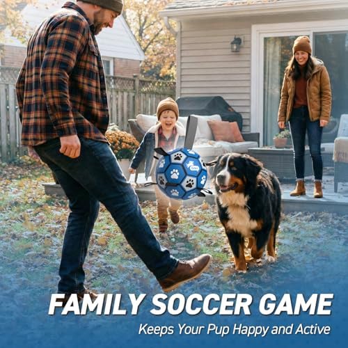 QDAN Extra Large Dog Toy Soccer Ball, Durable Dog Balls with Straps, 9 Inch