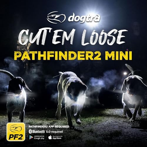 Dogtra Pathfinder2 Mini GPS Tracker e Collar + Add-on Receiver (Green) | 4 Mile, LED Light, Waterproof, Free App, No Fees, Smartwatch Control, Satellite Tracking, Multi Dogs, Smartphone Required