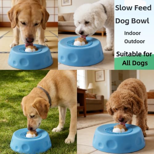Slow Feeder Dog Bowl with Rolling Ball for Dogs Anti-Slip Lick Bowl
