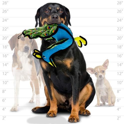 TUFFY® - 2 Pack Original : Peacock Dog Toy : : Ultra Durable Plush Toy with Multiple Layers & Reinforced Seams, Washable and Floats, Original Construction