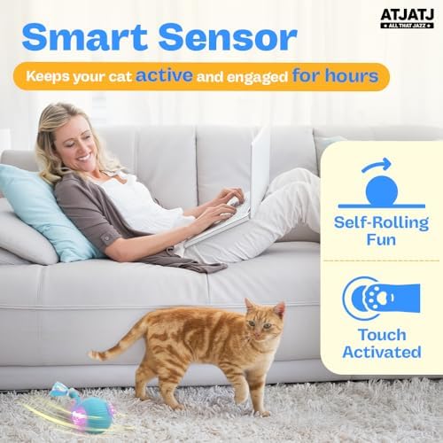 Interactive Cat Balls Toys for Indoor Cats, Automated Smart Ball Cat Toy with Elastic Mesh Tail, 3-Speed Rechargeable Rolling Kitten Toy, Electronic Mental Stimulating Self Play Pet Ball for Fun