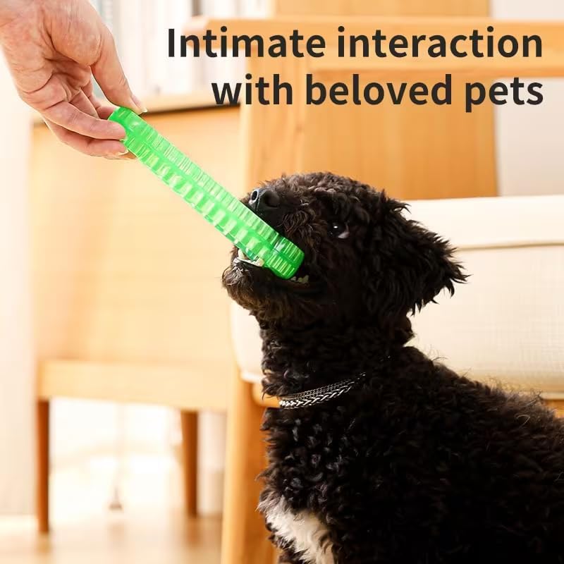 Interactive Dog Bone Toy, Green TPR Rubber, 6.3 Inch Dental Chew with Hidden Treat Compartment, Puzzle Food Dispenser for Small and Large Dogs (Green, Large)