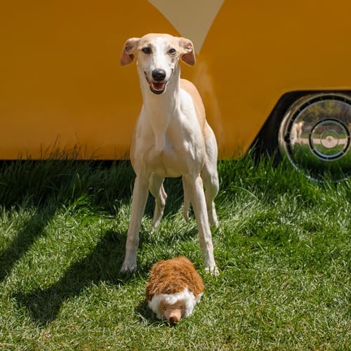 CHEWFFON Stuffed Dog Toy, Plush Squeaky Chew Toy for Boredom