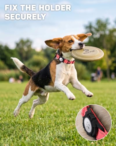 Padded Dog Collar with Waterproof Holder Compatible with Airtag