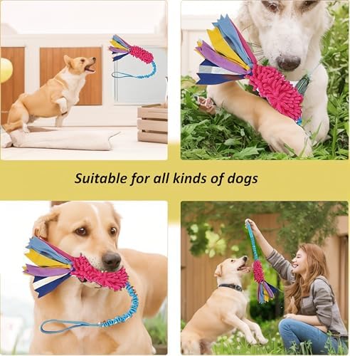 Dog Tug Toy, Durable Bungee Dog Toy with Squeak, Handmade Interactive Training Pull Toy for Puppy Small Medium Large Dogs, Easy to Clean