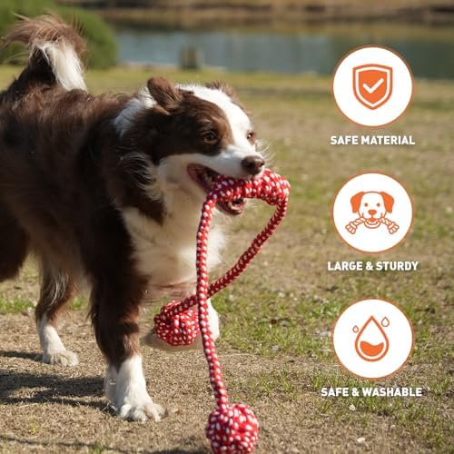 Durable Dog Rope Toys for Medium Dogs, Interactive Dog Toys for Tug of War and Aggressive Chewers. 2 Cotton Pack Indestructible Teeth Cleaning and Interaction Toys.