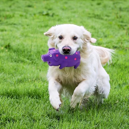 Squeaky Pig Dog Toys, Interactive Durable Latex Rubber that Oink Pig Chew Toy for Small Medium Large Dogs 3 Pack