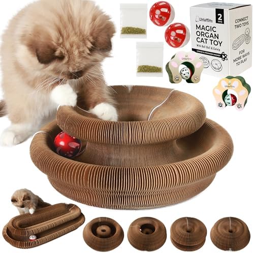 2-Pack Accordion Cat Toy Scratcher – Cat Toys for Indoor Cats – Expandable Cat Cardboard Scratcher, Magnetic Reversible Interactive Cat Toy | LittleMitts