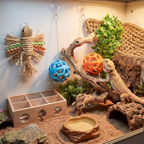 Bearded Dragon Enrichment Toys Feeder Ball, Veggie Feeder Ball & Exercise Balls Interactive Feed Toys, Greens Training Kit for Reptile Lizard Gecko, Reptile Tank Accessories