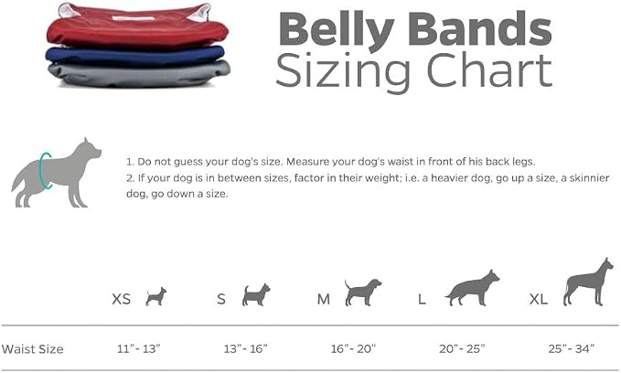 Pet Parents® Washable Belly Bands for Male Dogs (3pack) + Extendrs® of Durable Dog Diapers Male, Premium Male Dog Diapers & Dog Wraps (Small, Kingsmen)