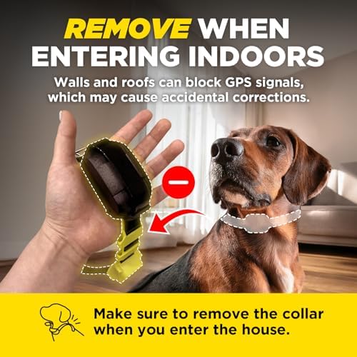 Dogtra GPS Dog Fence & Titanium Enhanced Contacts | No Subscription, Wireless Custom Fence with App, Tone/Vibration/Correction, Waterproof Rechargeable Collar 15lbs+, Better Comfort & Connection