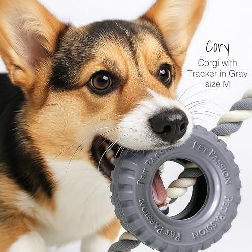 Pet Passion Natural Rubber Tire and Organic Cotton Rope Pull and Chew Dog Toy for All Pet Breeds, Blush, Large