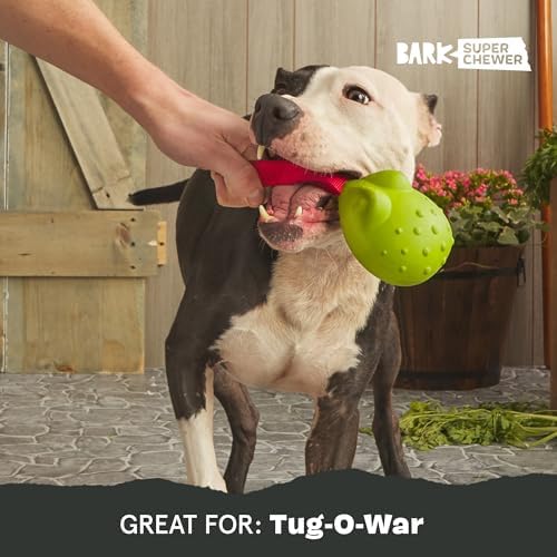 BarkBox Tug Tied Toad Dog Toy
