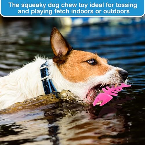 WinnerWhy 4 Pack Floating Dog Toys, Shark Dino Fish Starfish Set
