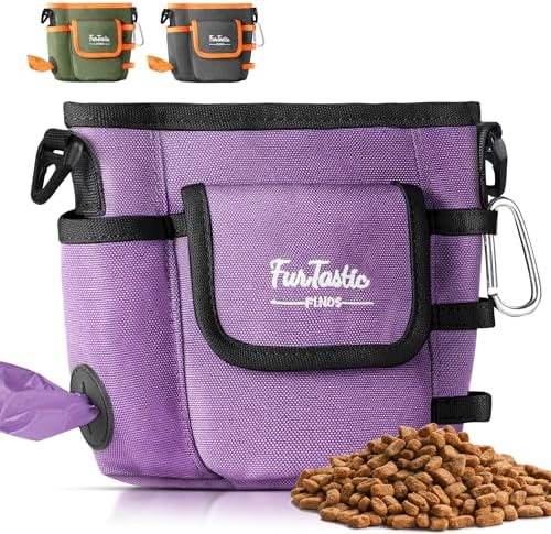 Dog Treat Pouch with Magnetic Closure for Pet Training