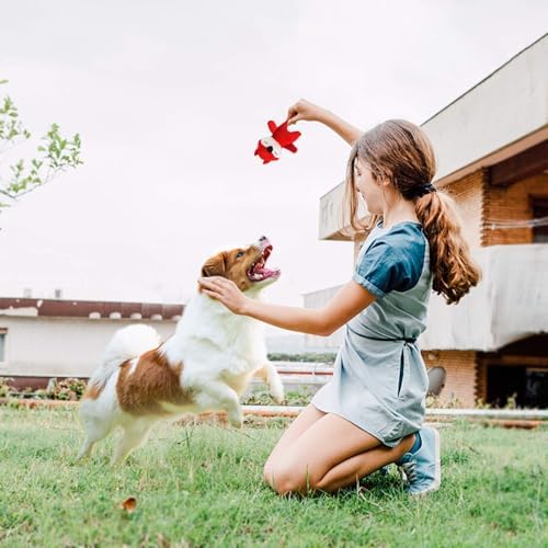 Squeaky Dog Toy for Puppy Small Medium Dogs, Stuffed Samll Dog Toys 12 Pack | Soft Plush Pet Doggie Toy Set, Cute Safe Pet Chew 12 Pack for Puppies Teething