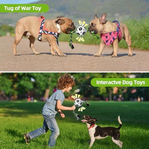 QDAN Dog Rope Toys for Small Medium Puppy, Soccer Ball for Dogs, Outdoor Dog Toys (Black)
