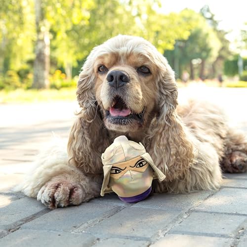 Teenage Mutant Ninja Turtles, Stuffed Animal for Dogs, Shredder