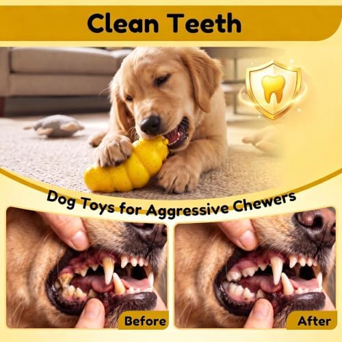 Squeaky Dog Chew Toys, Interactive Tough Indestructible Dog Toys for Aggressive Chewers, Medium to Large Dogs, Indoor & Outdoor Use