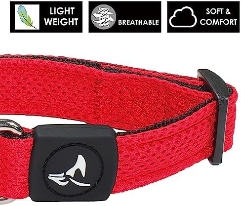 Dog Collar for Small Dogs (Width- 5/8", Neck - 8"-12") | Adjustable Padded Mint Green Dog Collar with Heavy Duty D-Ring | Soft Comfortable Fit for Small Dogs | Mint Green, X-Small