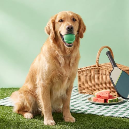 Playology Squeaky Chew Ball Dog Toy - Jumbo, Watermelon Scent