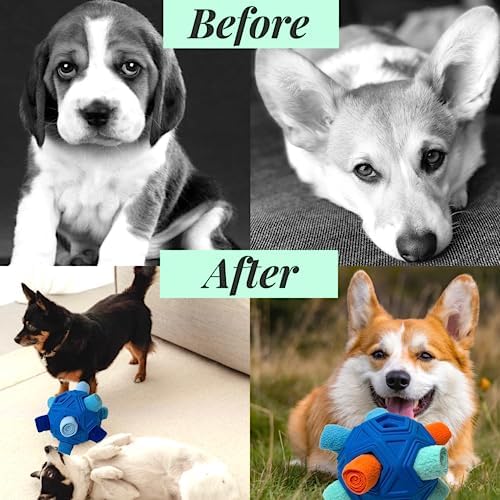 Interactive Snuffle Ball for Dog Toys Unbreakable Upgrade Ball Toy | Dog Puzzle Toys Foraging Snuffle Mat Puppy Dog Treat Dispenser Slow Feeder Toys for Small Medium Large Dog (Blue)