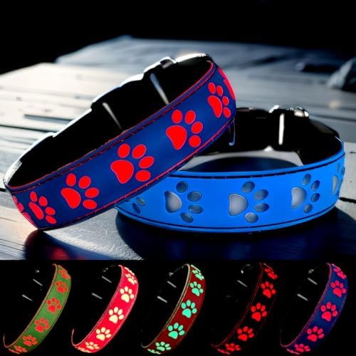 Personalized Light Up Dog Collar with Laser Engraved ID Tag