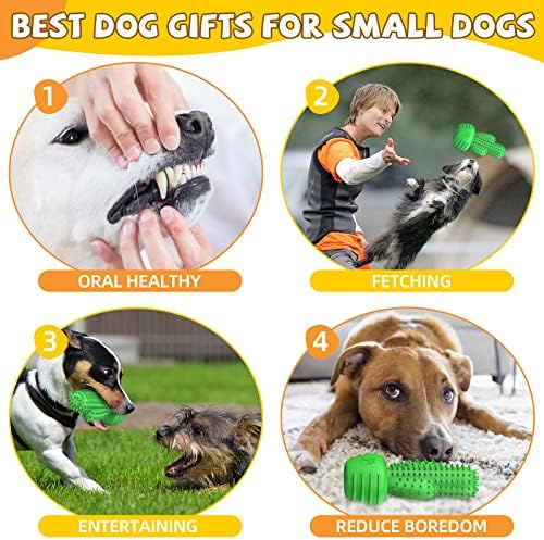 Pamlulu Christmas Dog Gifts, Dog Toys for Small Dogs Dog Toothbrush for Teething Cleaning, Rubber Squeaky Toys for Puppy