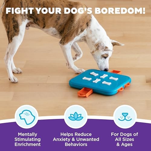 Outward Hound Nina Ottosson Dog Casino Dog Toy Treat Puzzle, 14" | Level 3 Advanced, 6 Hidden Treat Compartments, Holds 1-1/2 Cups, Wet or Dry Food, Interactive Enrichment, Dogs & Puppies