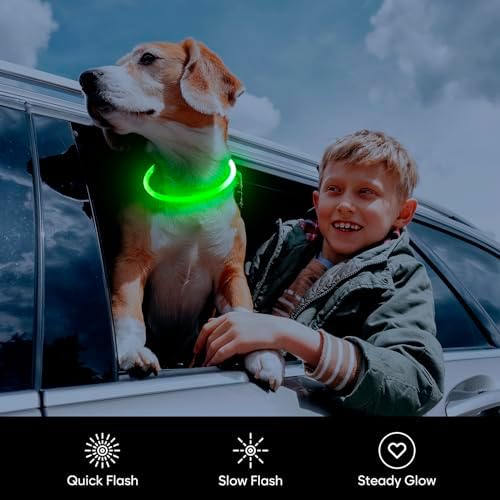 Flashseen LED Dog Collar, USB Rechargeable Glow Lighted up Collar, Green