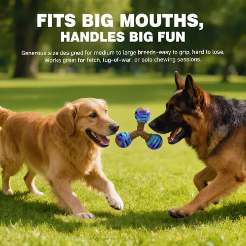 MECOOL Durable Dog Chew Toys for Medium Dogs - Squeaky Rubber Balls with Nylon Reinforcement, Interactive Lick & Chew Toy for Aggressive Chewers, Pet Teething Toy Blue,Bacon Flavored