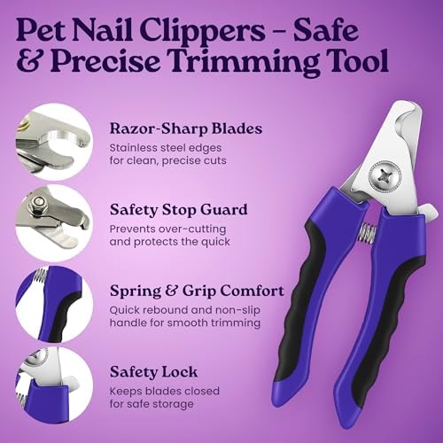 gameOFF Cat Grooming Kit 6 in 1, Include: Nail Clipper, Brush for Shedding, Wand Toy, Interactive Ball Toy, Bath Brush, Ear Cleaner Finger Wipes (30ct.), Cat Grooming Supplies, Kitten Supplies