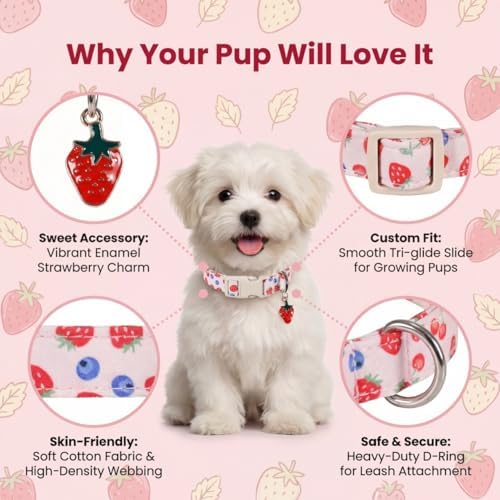 Small Dog Collar, Cute Dog Collar for Puppy, Extra Small & Small Dogs, Strawberry Blueberry Collar for Girl Female Dogs, XS