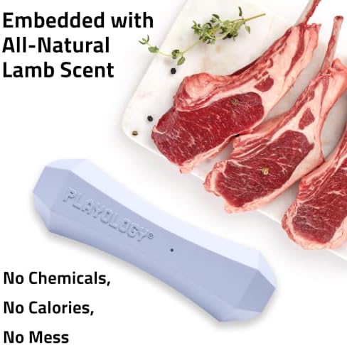 Playology Squeaky Chew Stick - Scented Dog Toy - Jumbo, Lamb Scent