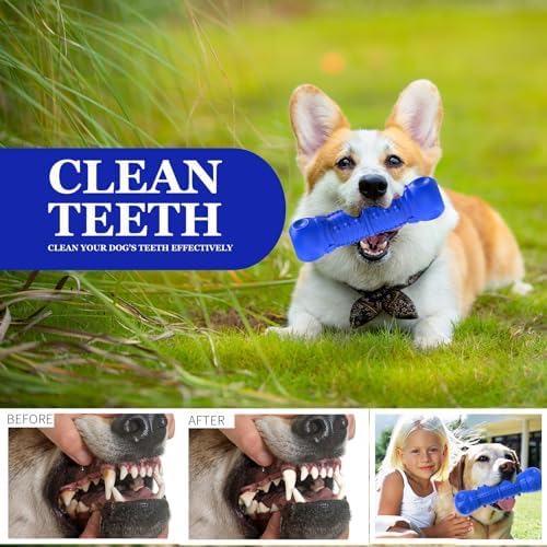 ZIKATON Dog Squeaky Toys for Aggressive Chewers, Durable Chew Toys for Large Medium Breed Dog, Tough Durable Dogs Toys