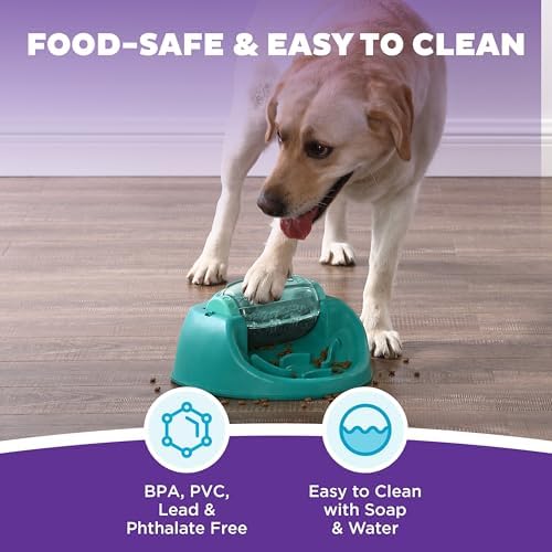 Outward Hound Nina Ottosson Spin N' Eat Dog Puzzle Toy & Slow Feeder, 11.6"