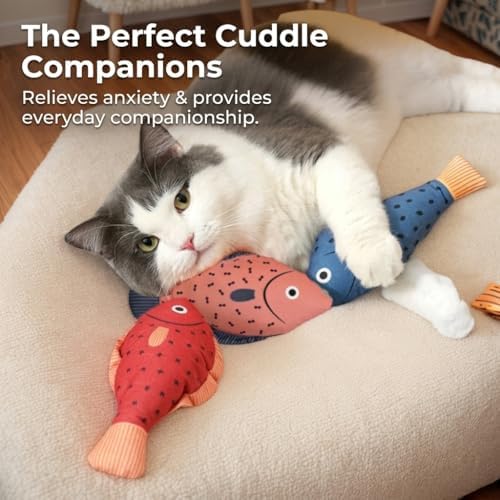 Catnip Toys for Cats, Fish Plush for Indoor Cats and Kittens, Pack of 3