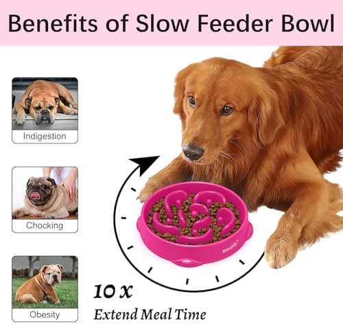 MateeyLife 1-Pack Slow Feeder Dog Bowls, 4 Cups, Dog Puzzle Feeder Bowl