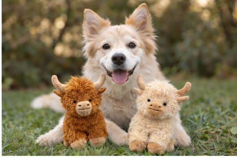 Vaulted Skulls & Co Cow Dog Toy Bundle 6" Small | Squeaky Highland Cow Toys | Stuffed Squeaky Chew Dog Cow Toy | Small/Medium Breed | Brown/Tan | 2-Pack